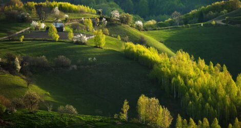 Holbav – satul unde timpul încetinește și sufletul se odihnește